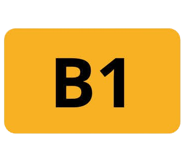 B1