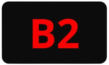B2